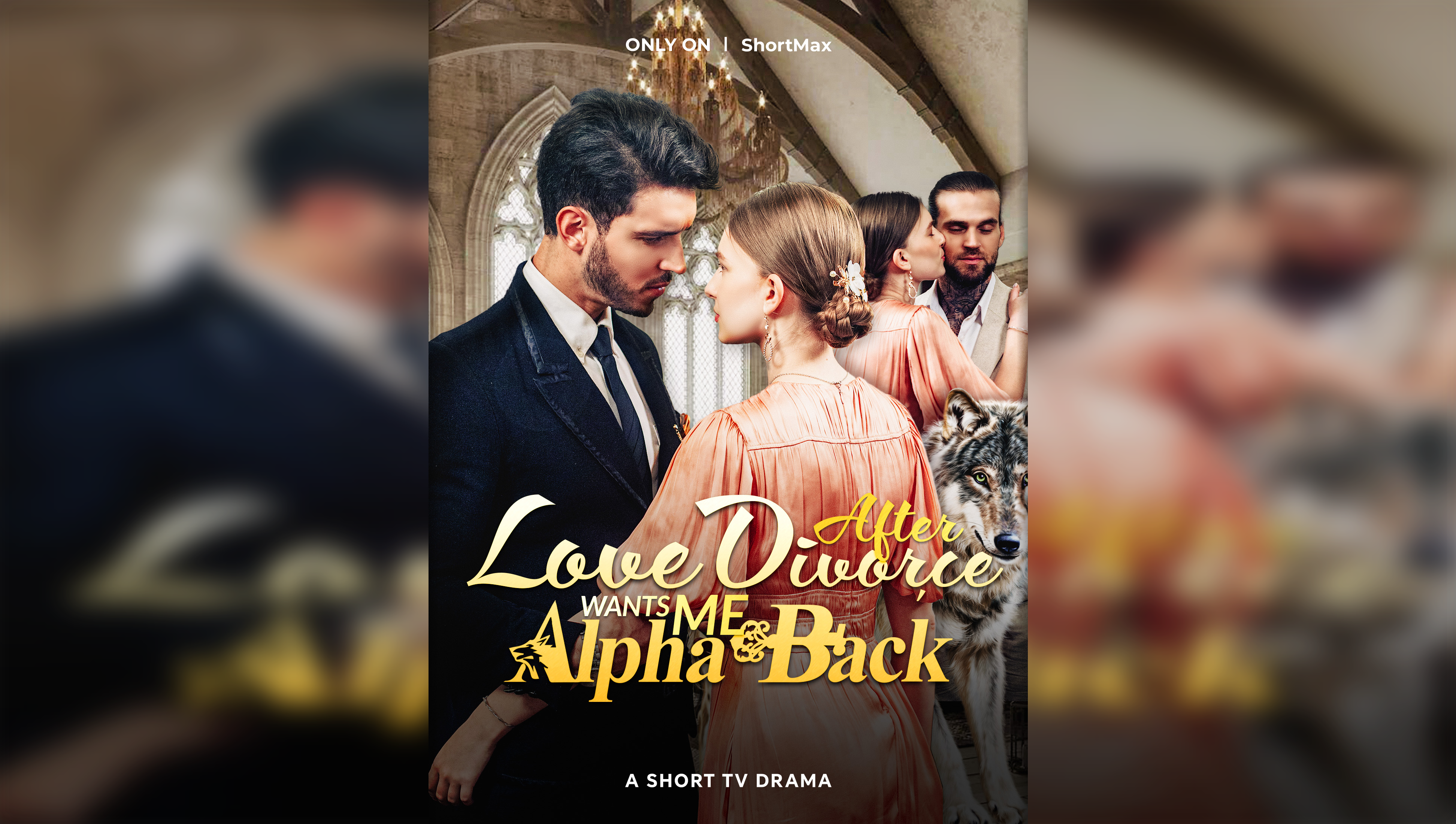 Love After Divorce, Alpha Wants Me Back (English Ver.)
