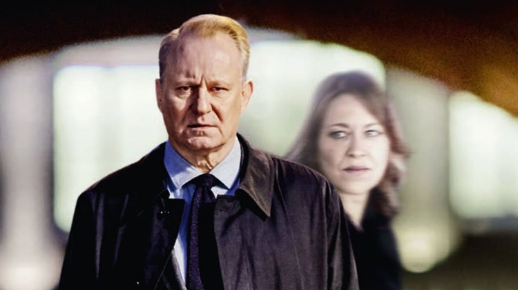 我竟靠爸妈养猪走上巅峰的起点