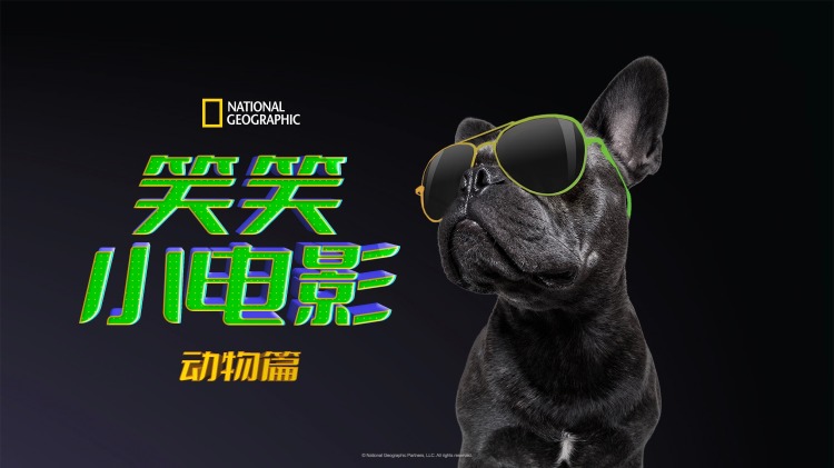 《逆行人生之天生继承者》权谋与挑战