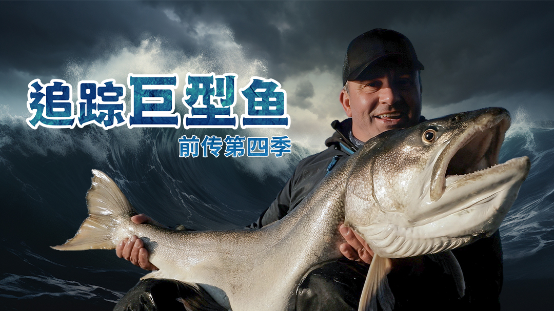 追踪巨型鱼前传 第4季-封面1