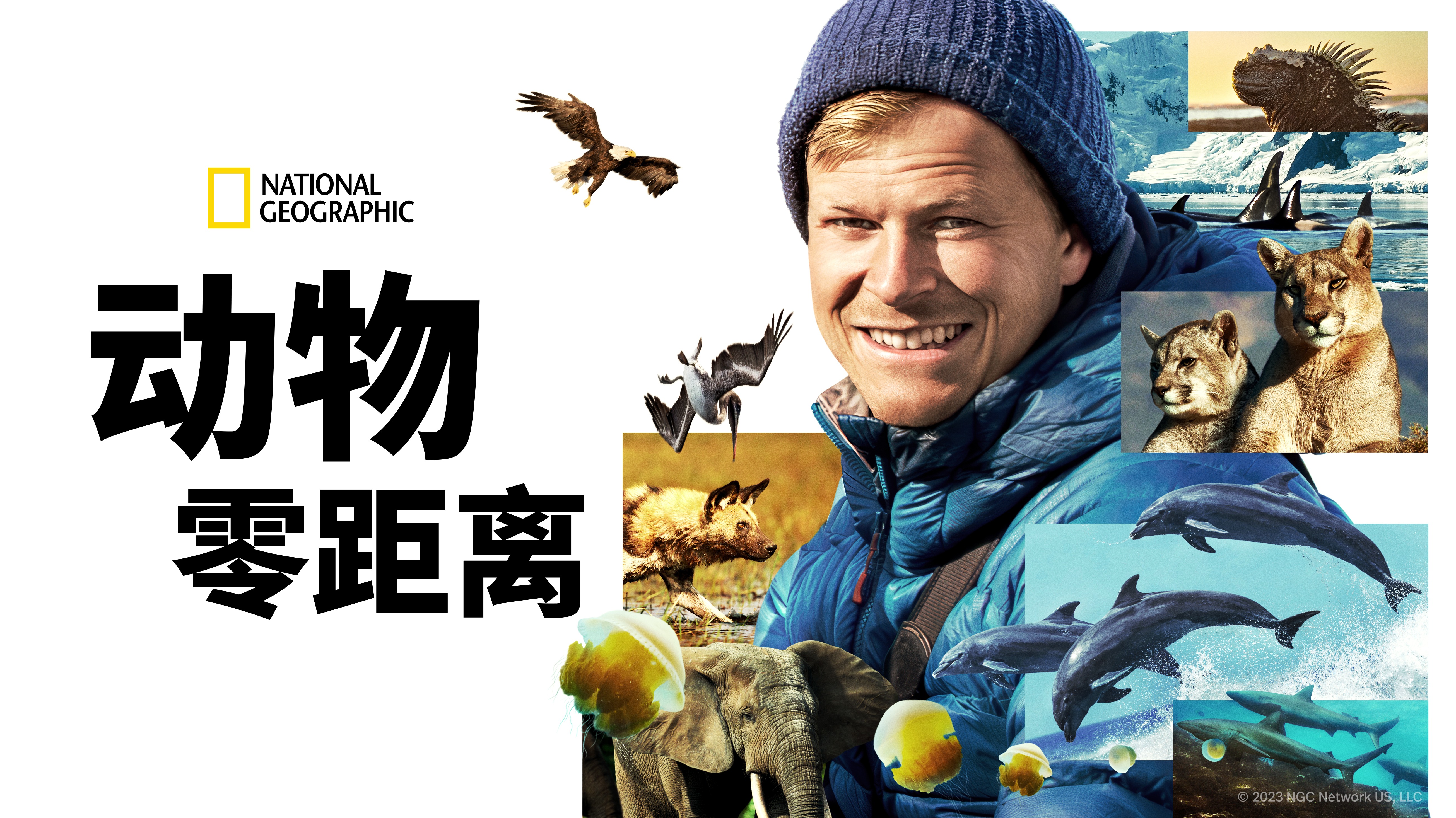 贝尔蒂·格雷戈里：与动物零距离-封面1