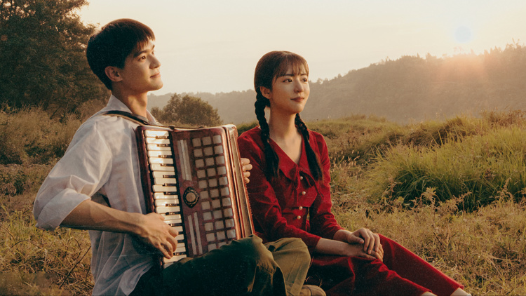 《司小姐的马甲又掉了》最新选集