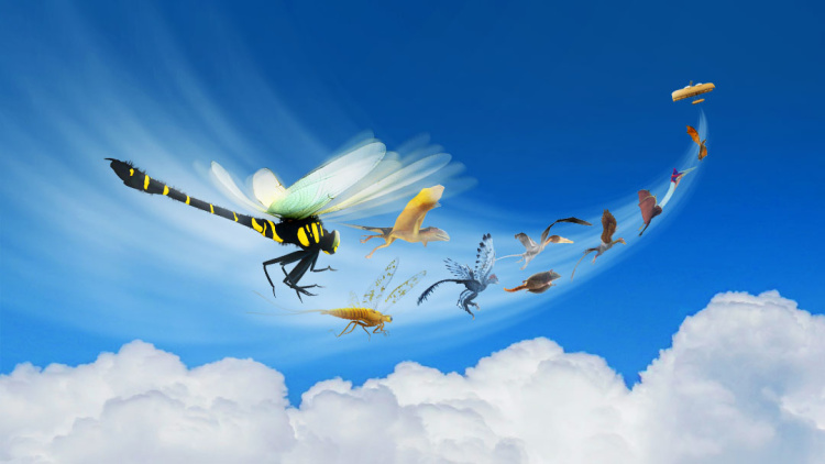 疯狂的二少爷——出场引发轰动