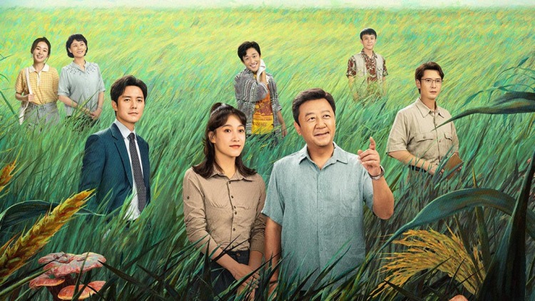 经济发展：提高人民生活水平的基础