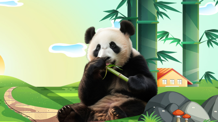 来自星星的总裁