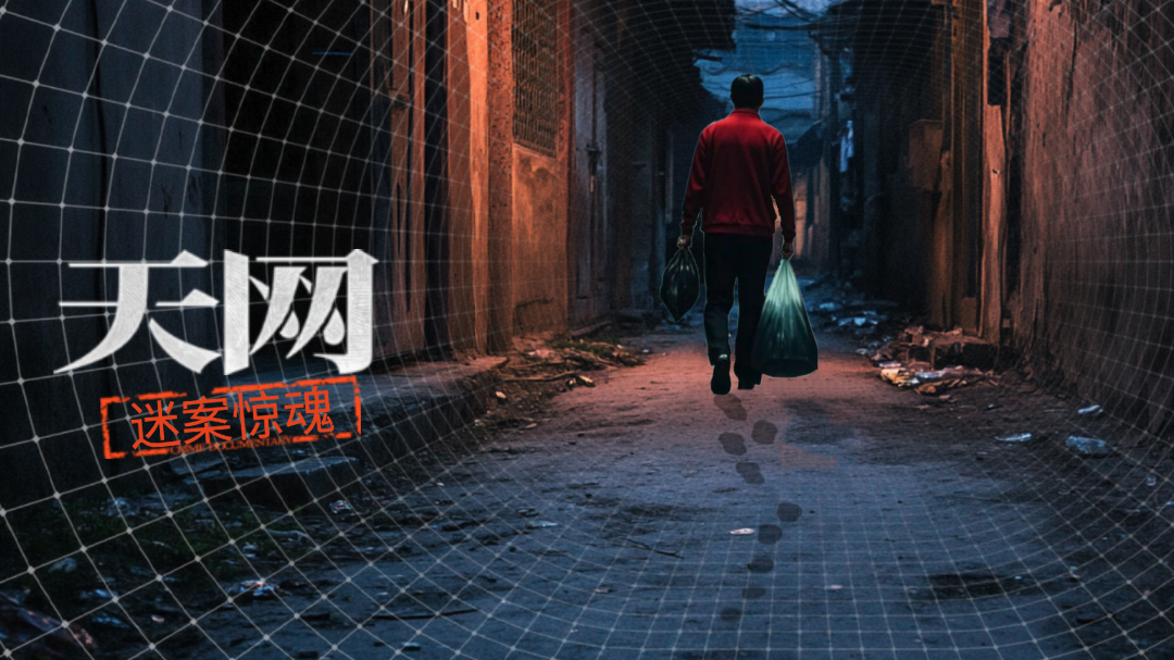天网：迷案惊魂-封面1