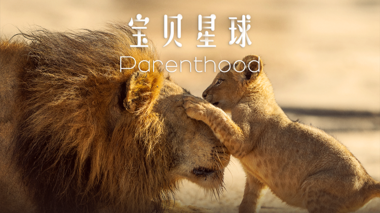 和大佬互换身体后我怼翻全场：初试锋芒