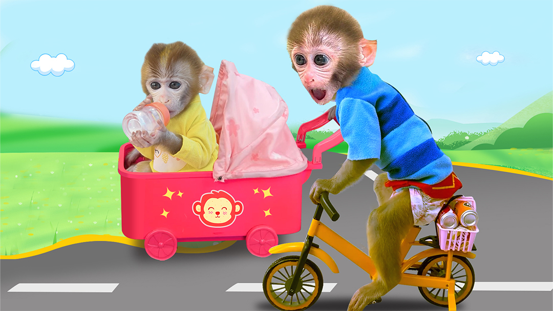 小猴子啵啵 第7季-封面1