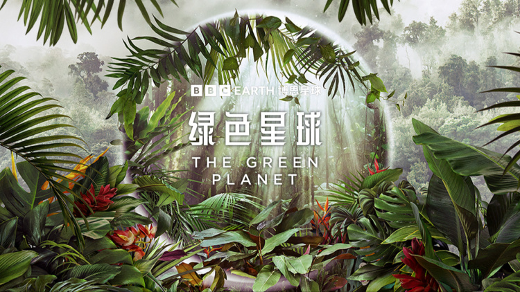 天降财迷小娇妻