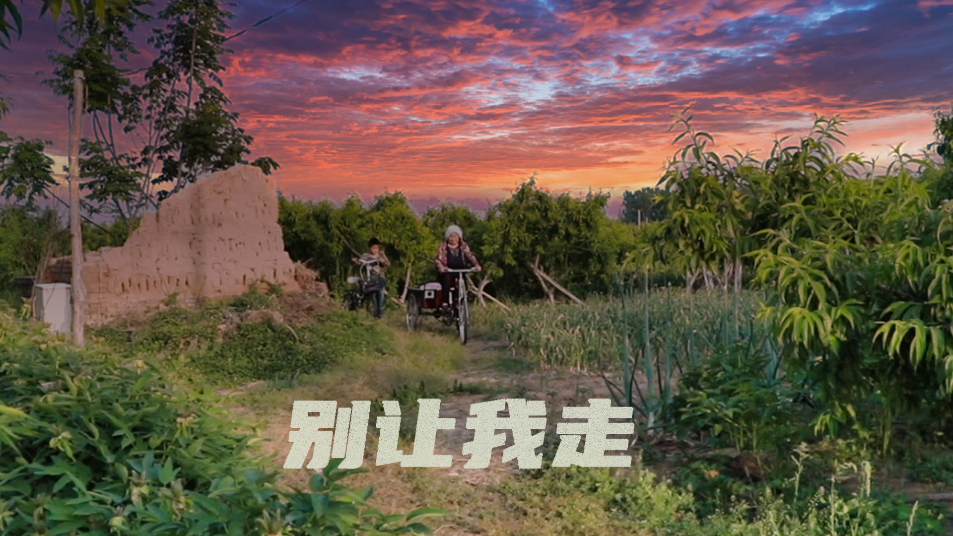 别让我走_电影_高清完整版视频在线观看_腾讯视频