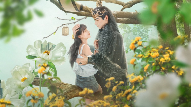 闪婚老公是仙君