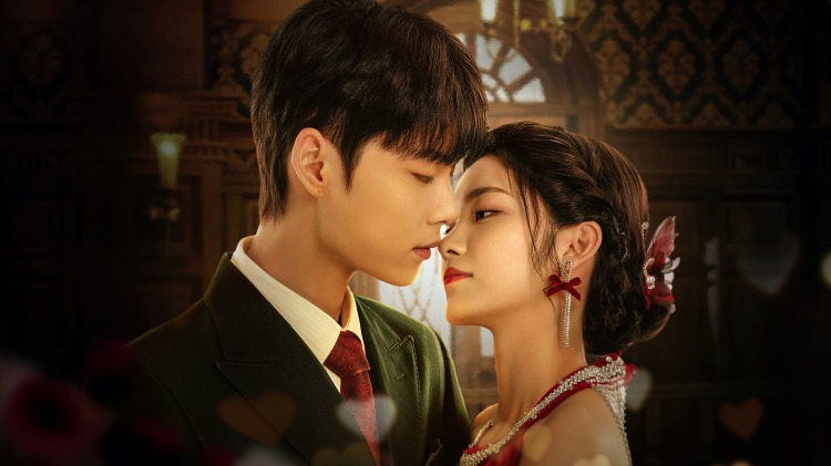 梦里花落知多少