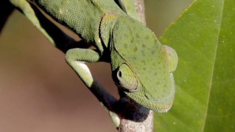 如果不回户口所在地，办理身份证会有什么限制吗？