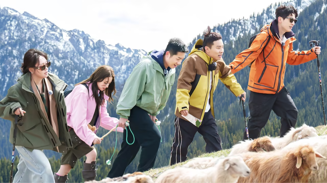 五十公里桃花坞 第5季-封面9