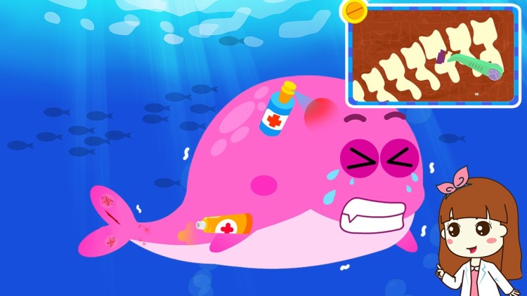 北京卫视养生堂：健康养生理念的启航