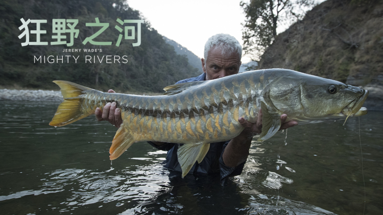 直播偷听动物心声她成为顶流