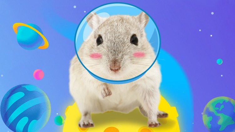 原来我早就无敌了：挑战极限