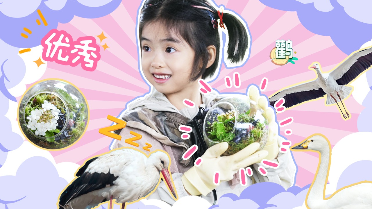 自然学院林之动手实践