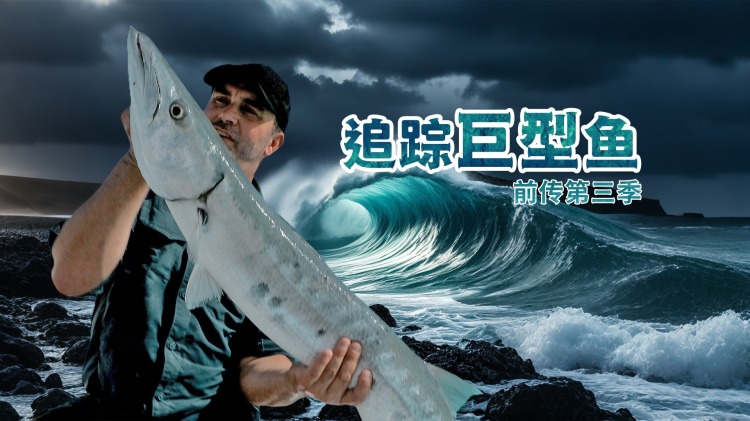 菠菜：富含叶黄素与玉米黄质