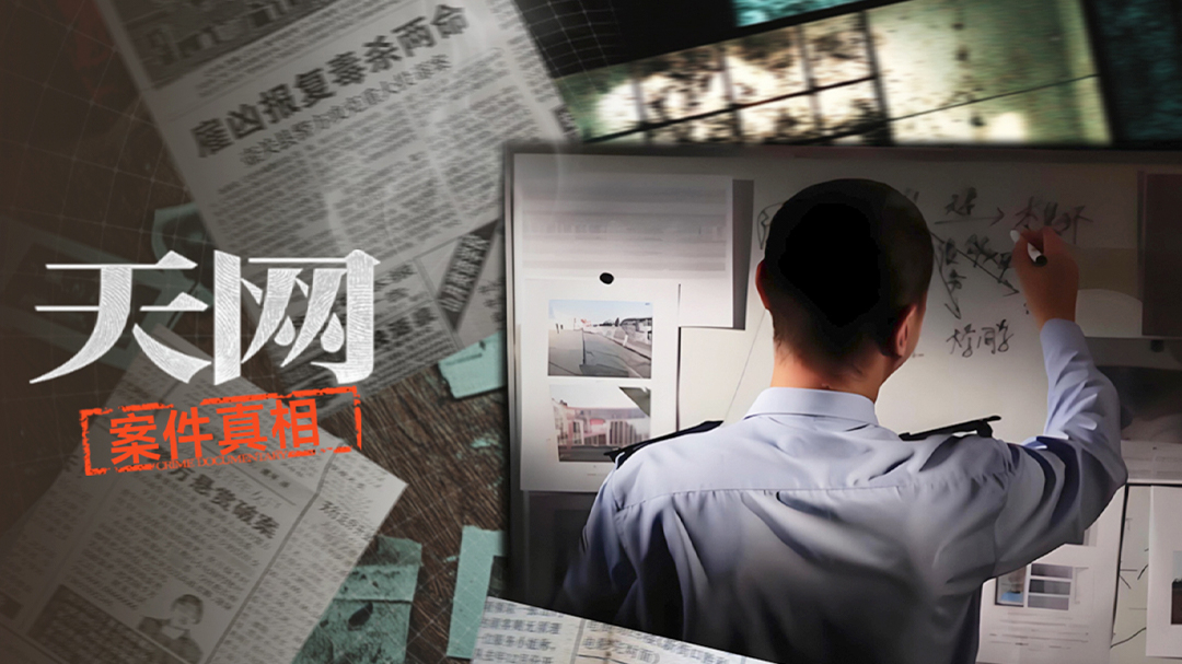 天网：案件真相-封面1