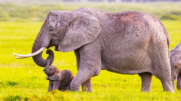 太古战魂：终极对决与新纪元的开启