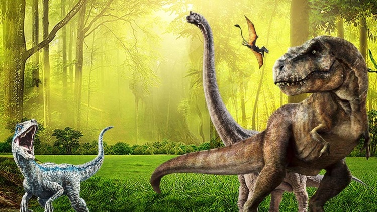 重生八零悍妻当家：感情抉择与成长