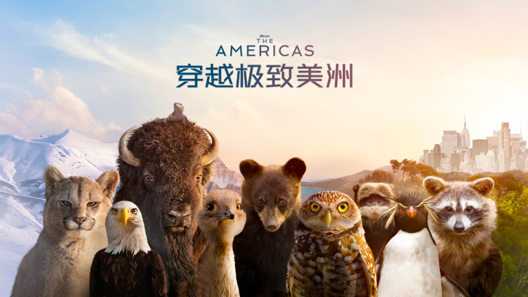 情断谍影之我的特工老婆