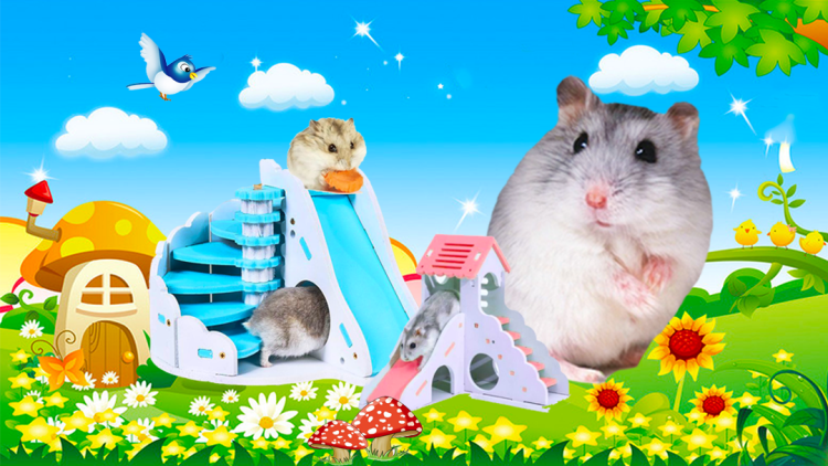 什么是生物芯片？