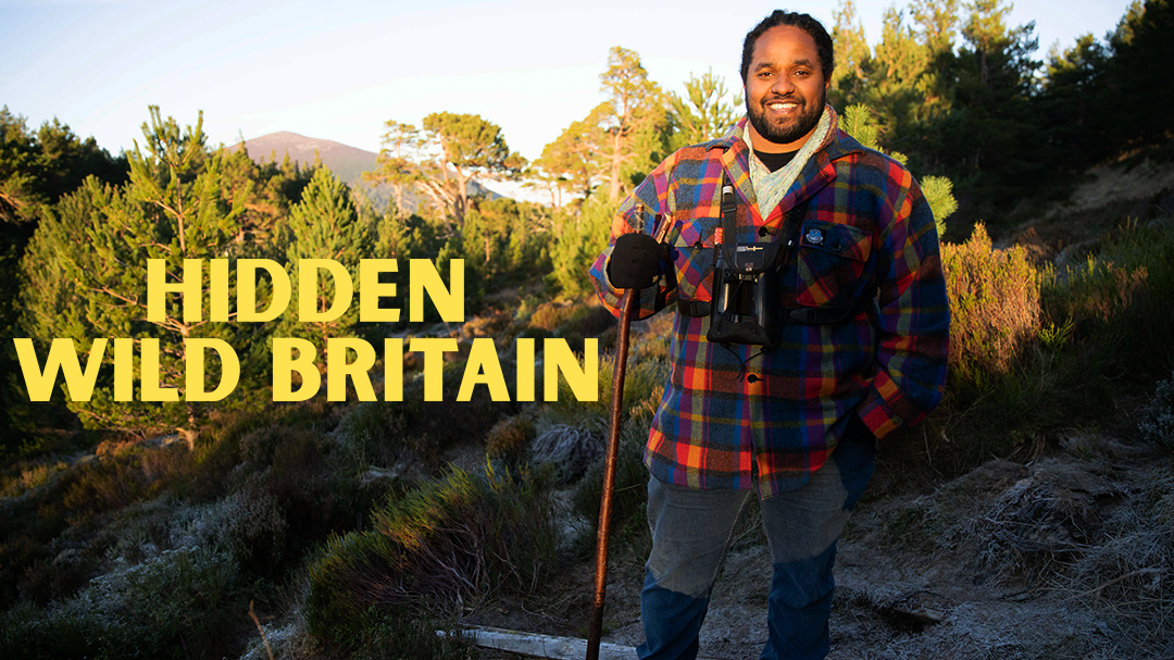 隐秘野性不列颠-封面1