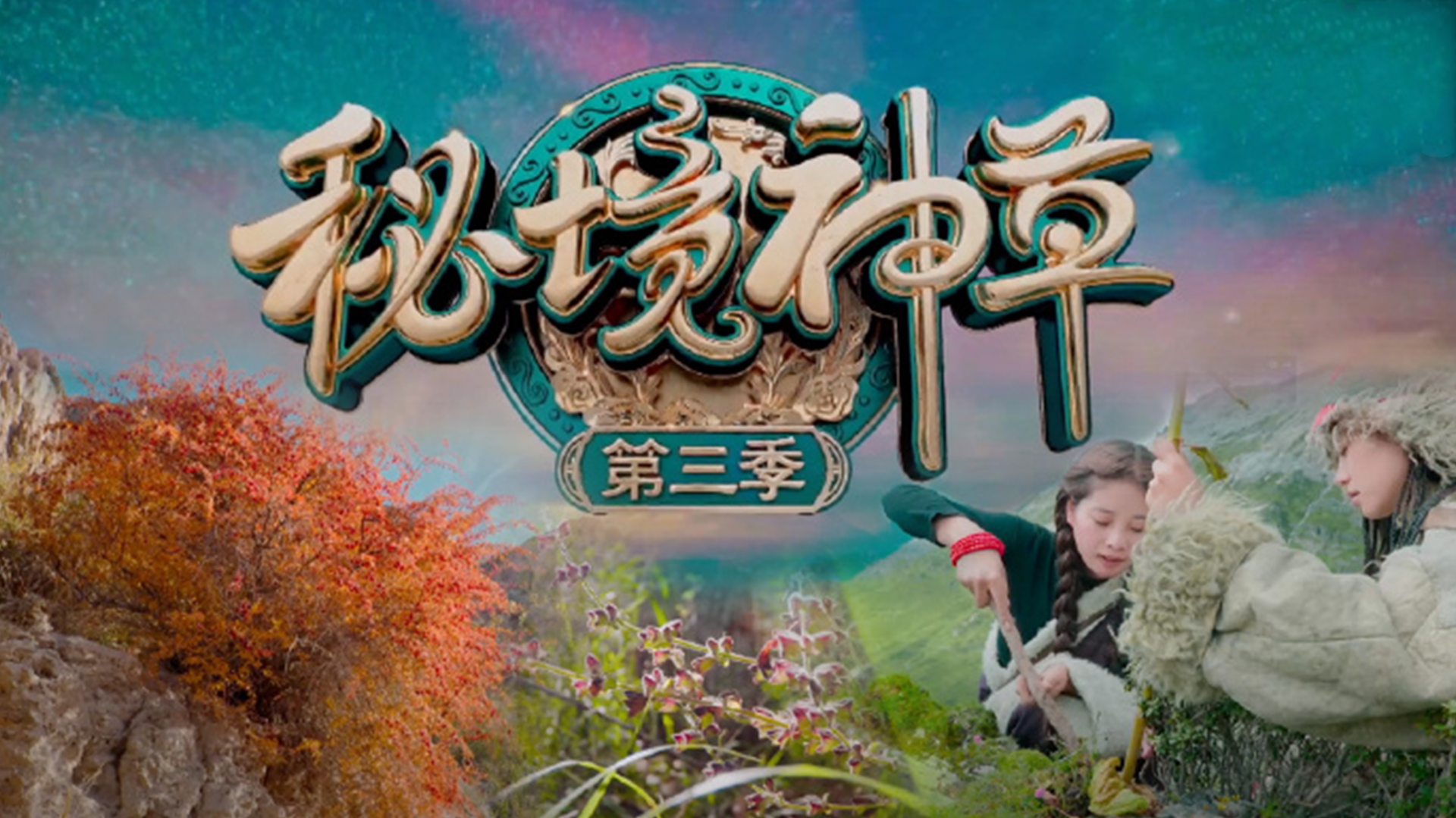 秘境神草 第3季-封面1