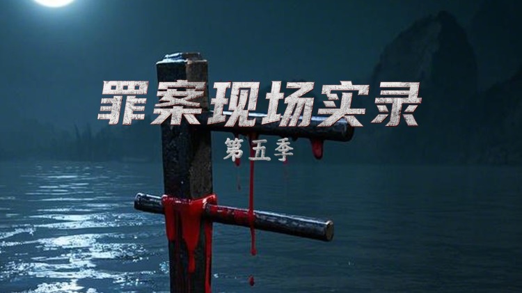 《命中注定要爱你》温情互动与感情积累