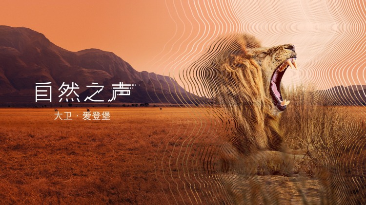 坠机重生后我成了救世主