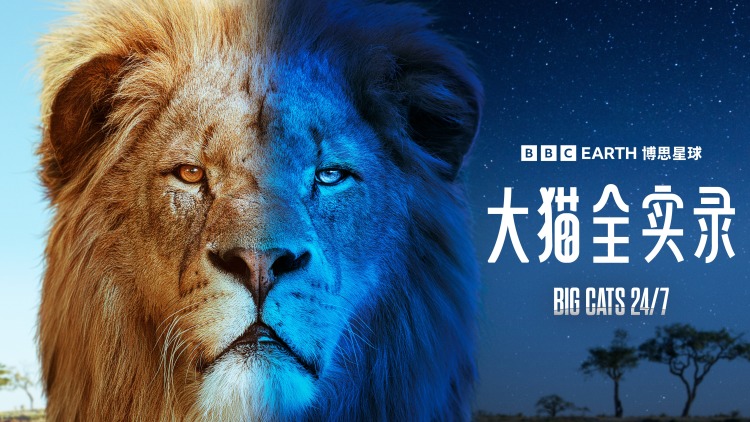 摸鱼至尊的初入职场