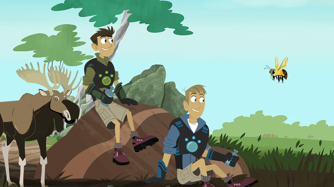 动物兄弟 第七季-封面1