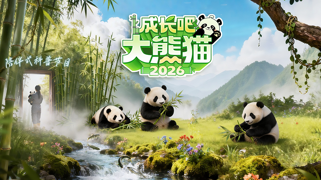 成长吧！大熊猫 2026-封面1