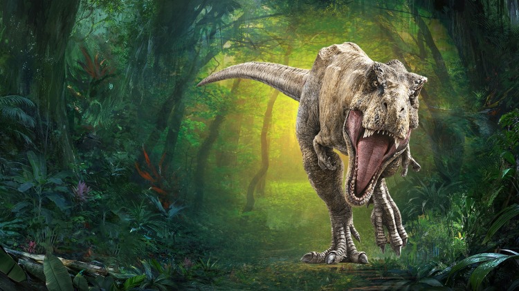 《她的男房客们》最新选集