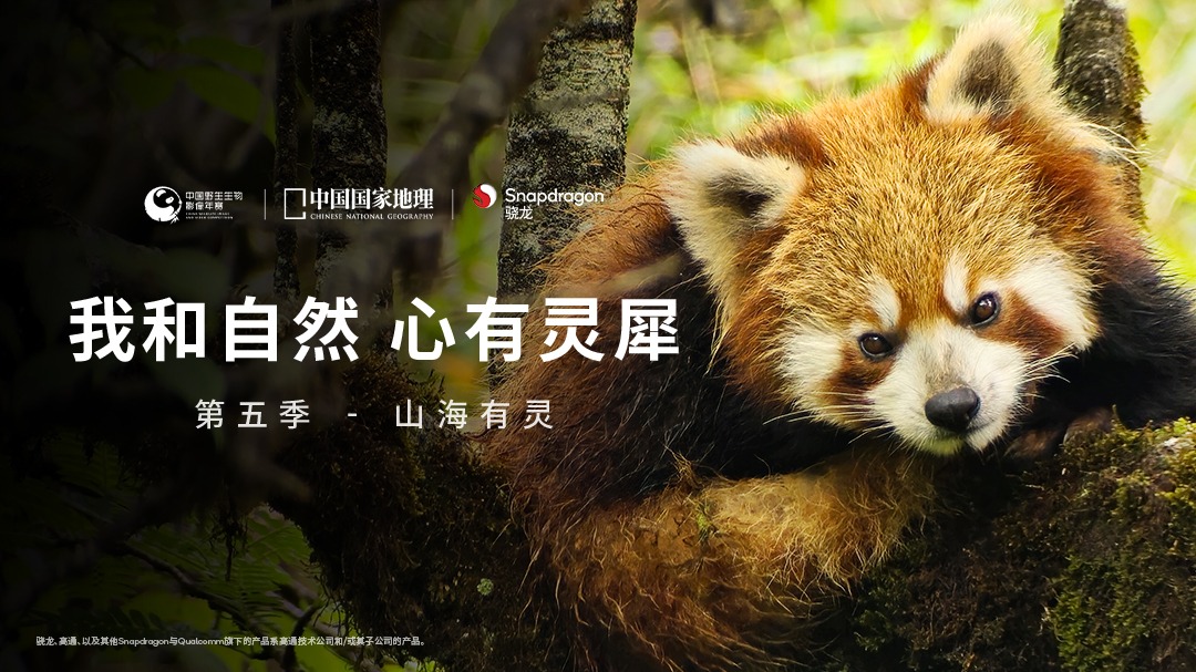 我和自然 心有灵犀 第5季：山海有灵-封面1