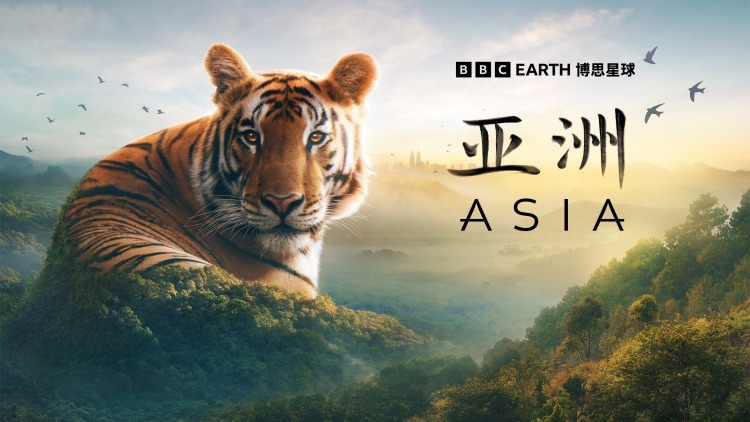 如何将已保存的文字文件复制到U盘？