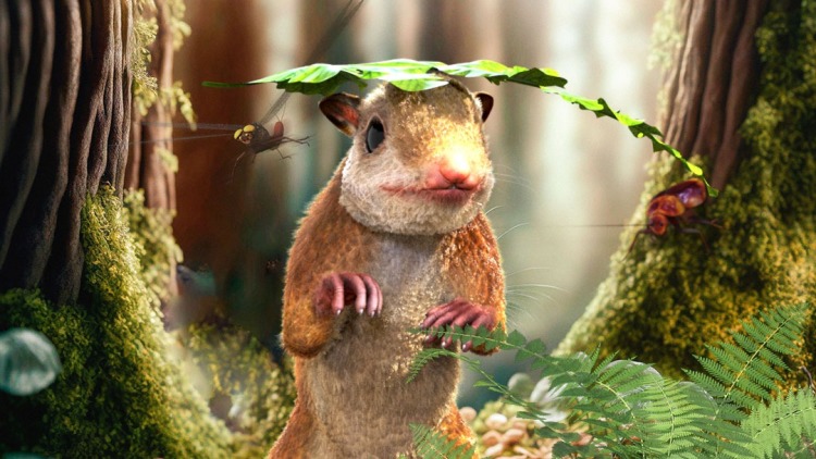 一触即发第一季