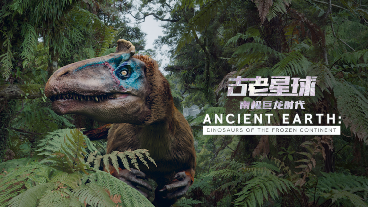 结婚现场新娘逃跑了