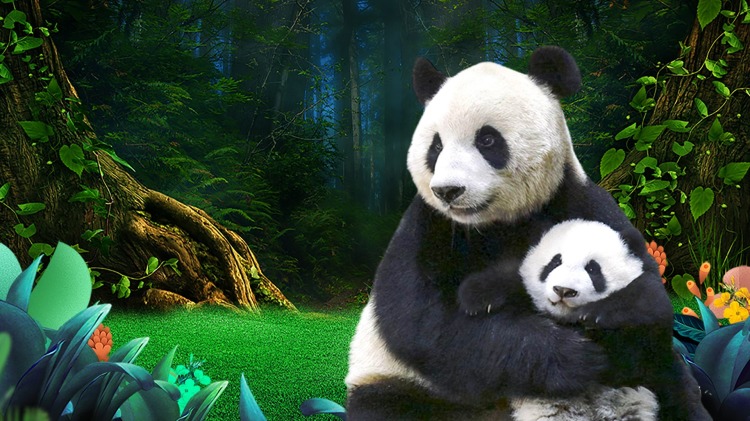 《让我来唱》的梦想起航