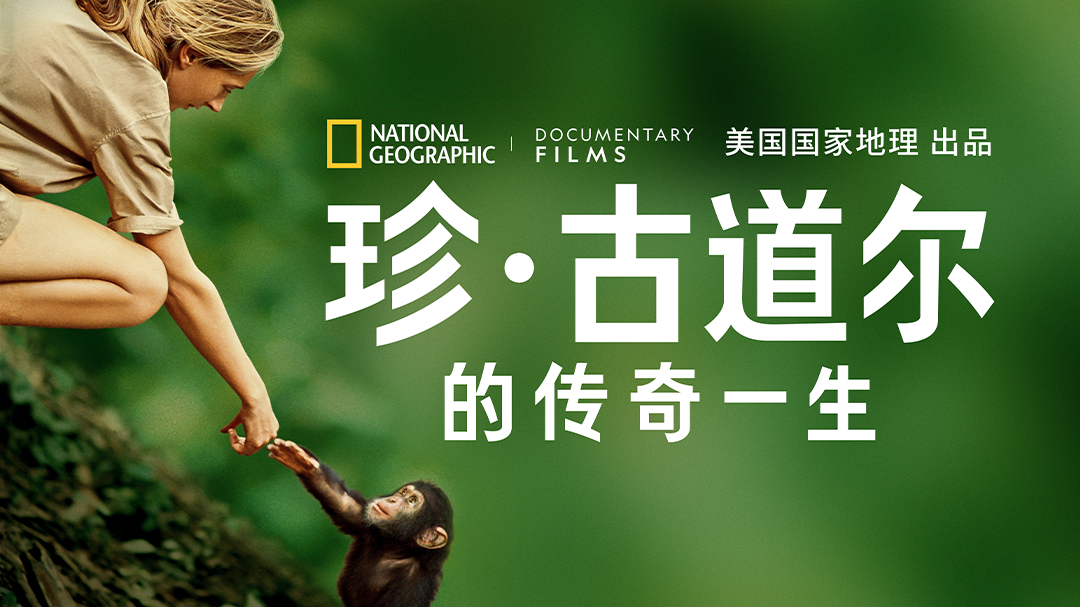 珍·古道尔的传奇一生
