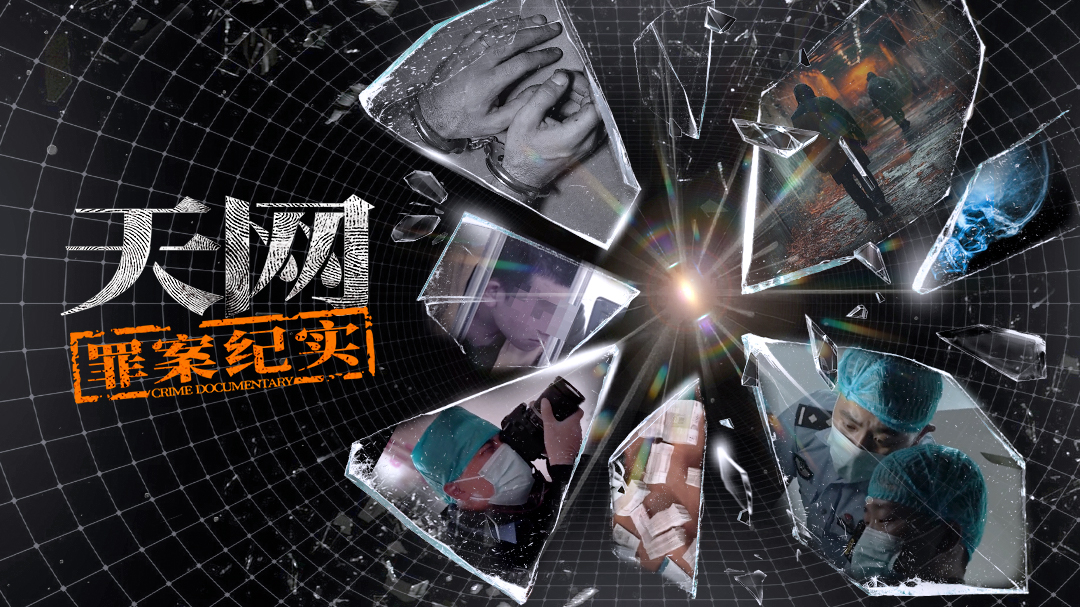 天网：罪案纪实-封面1