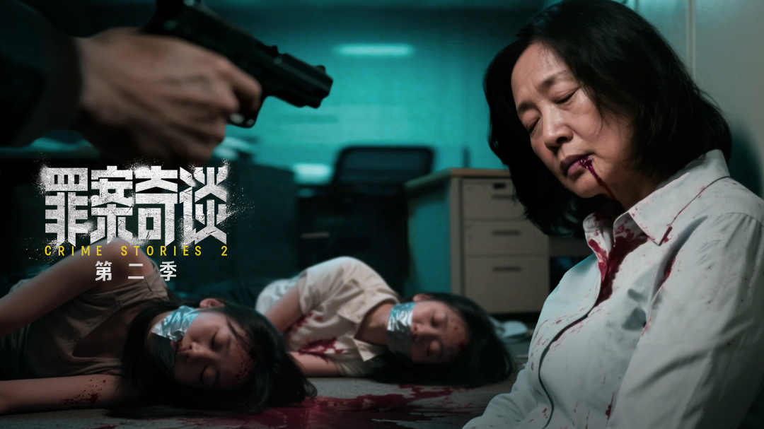 罪案奇谈 第2季