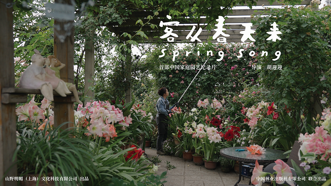 客从春天来-封面1