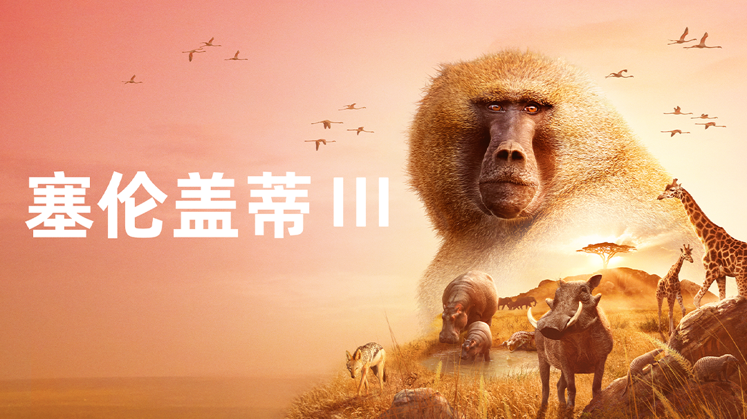 塞伦盖蒂 第3季[普通话版]-封面1