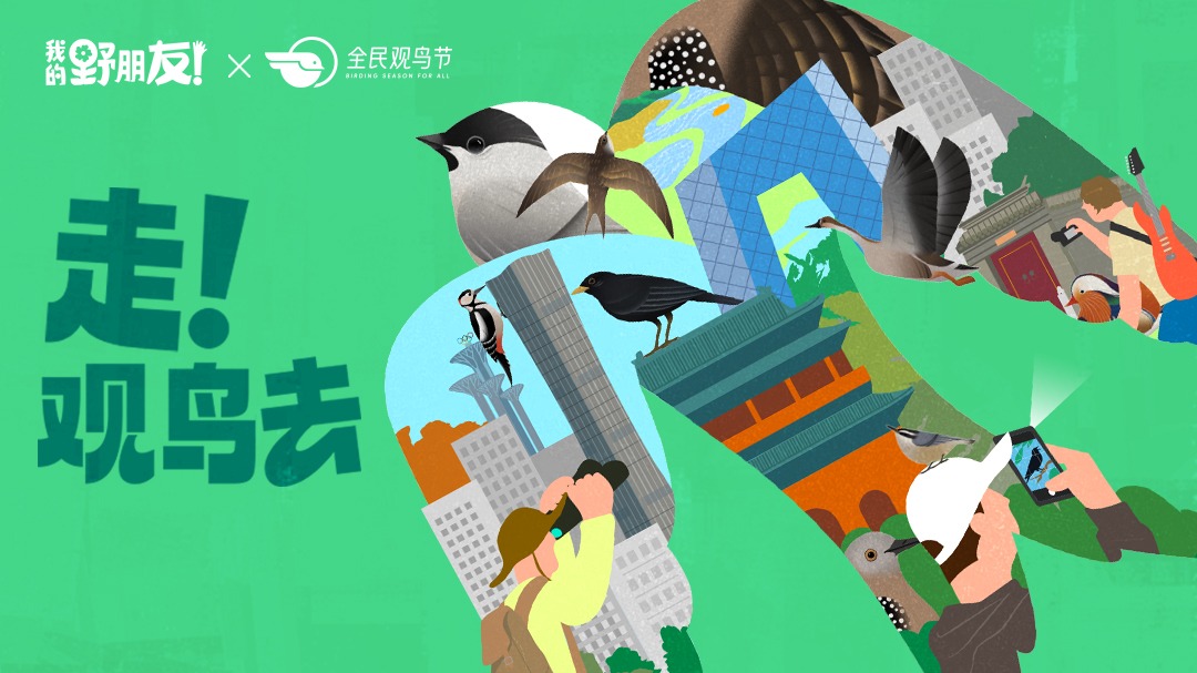解法第7季