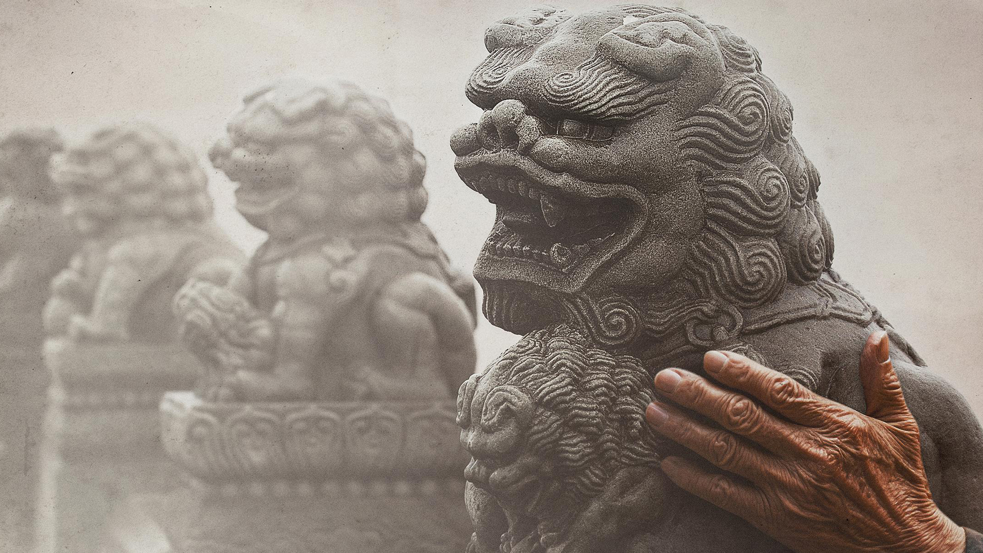 山河为证封面图