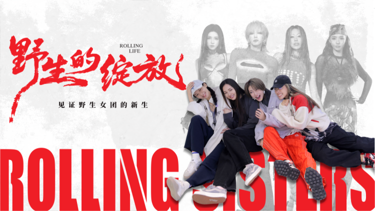 实操训练，这才是真正的挑战