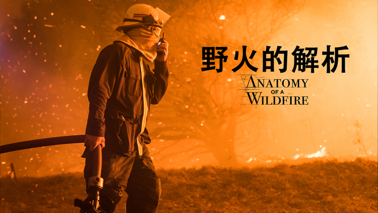 《诛仙第三季》的情感纠葛与抉择